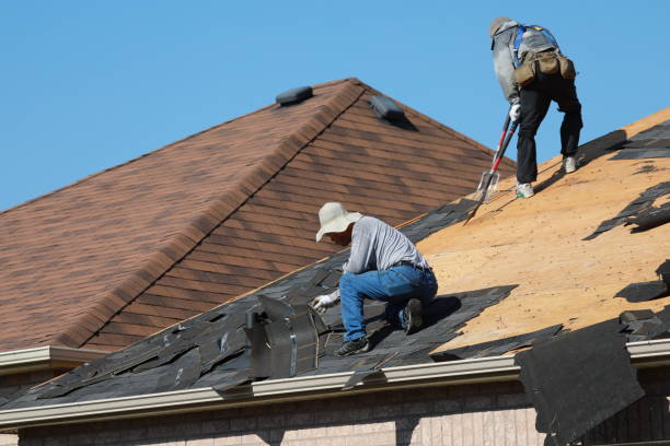 Best Asphalt Shingle Roofing  in Fern Acres, HI