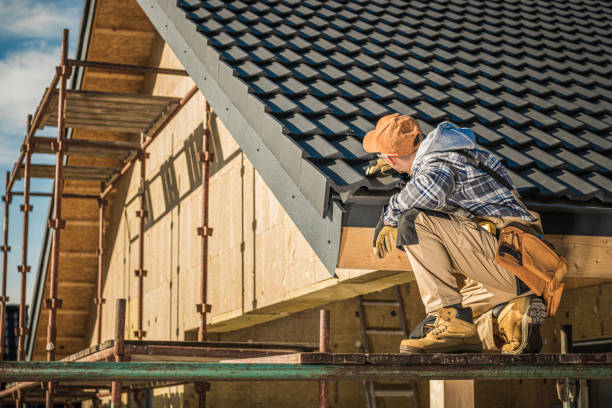 Best Solar Panel Roofing Installation  in Fern Acres, HI