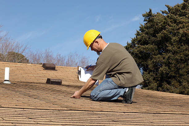 Best Roof Insulation Installation  in Fern Acres, HI