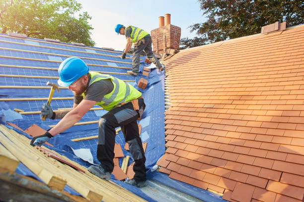 Best Gutter Installation and Repair  in Fern Acres, HI